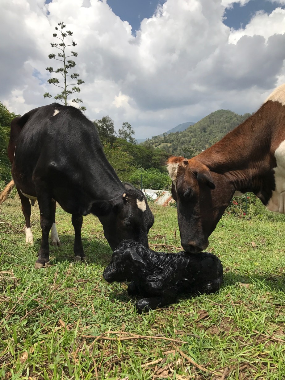 083EDB61-9264-4B40-897F-3966D5384B81