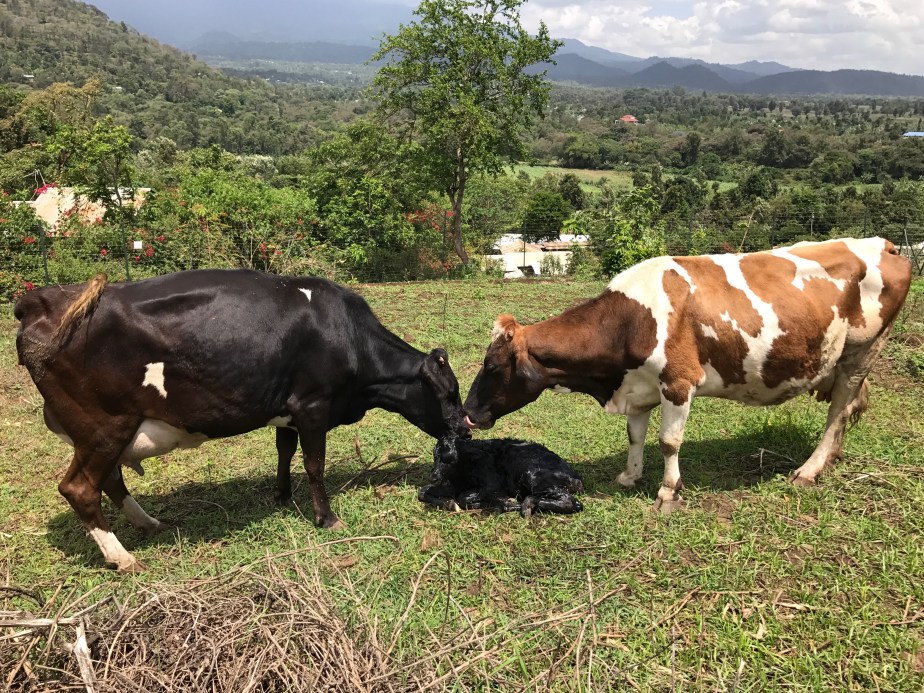 42D02A54-ED82-4BD7-A988-633E2DF85246